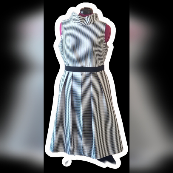 eva mendes for New York & Company Dresses & Skirts - NY&co Chic Striped Black and White Midi Dress